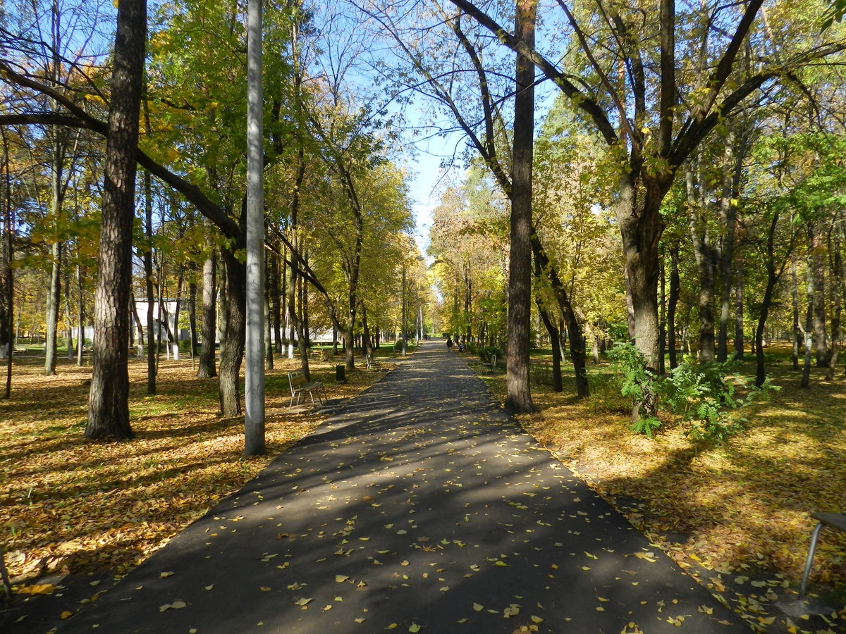Ковров парк