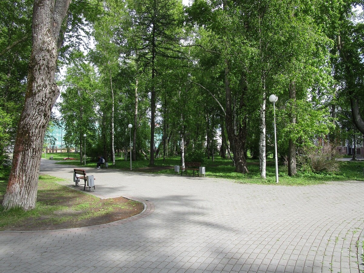 Фото 1: Петровский парк