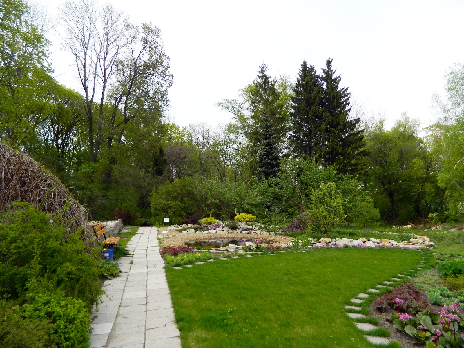 Фото 0: Ботанический сад