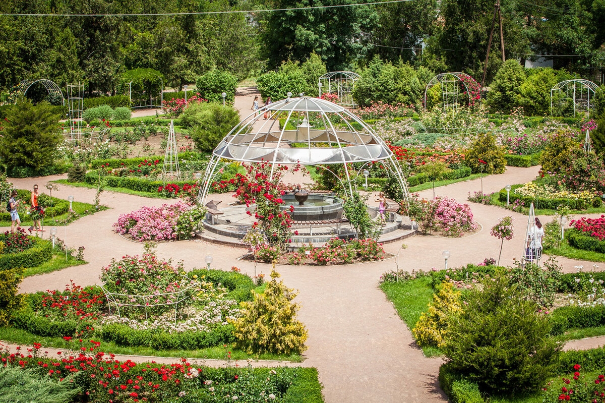 Фото 0: Ботанический сад имени Н.В.Багрова
