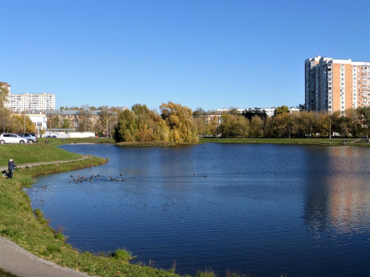 Свиблово. Капустинский пруд в Свиблово. Капустинский парк. Капустинский пруд Раменский район. Свибловские пруды Москва.