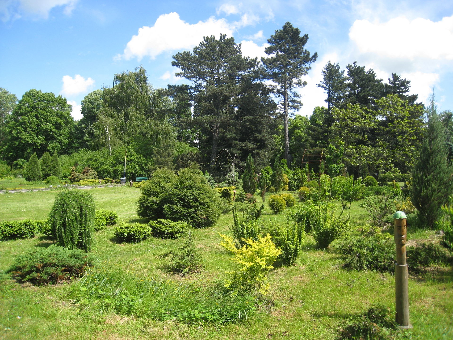 Фото 1: Ботанический сад Балтийского Федерального университета им. Иммануила Канта