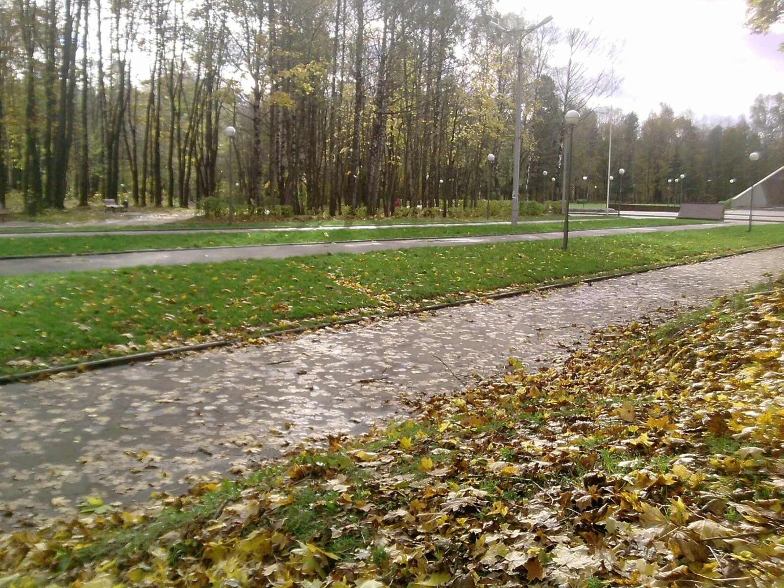 Реадовка. Парк реадовка Смоленск. Рядовский парк в Смоленске. Рядовка Смоленск парк. Рядовская Смоленск Смоленск парк.