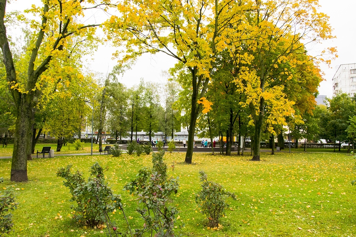 Фото 1: Гончаровский парк