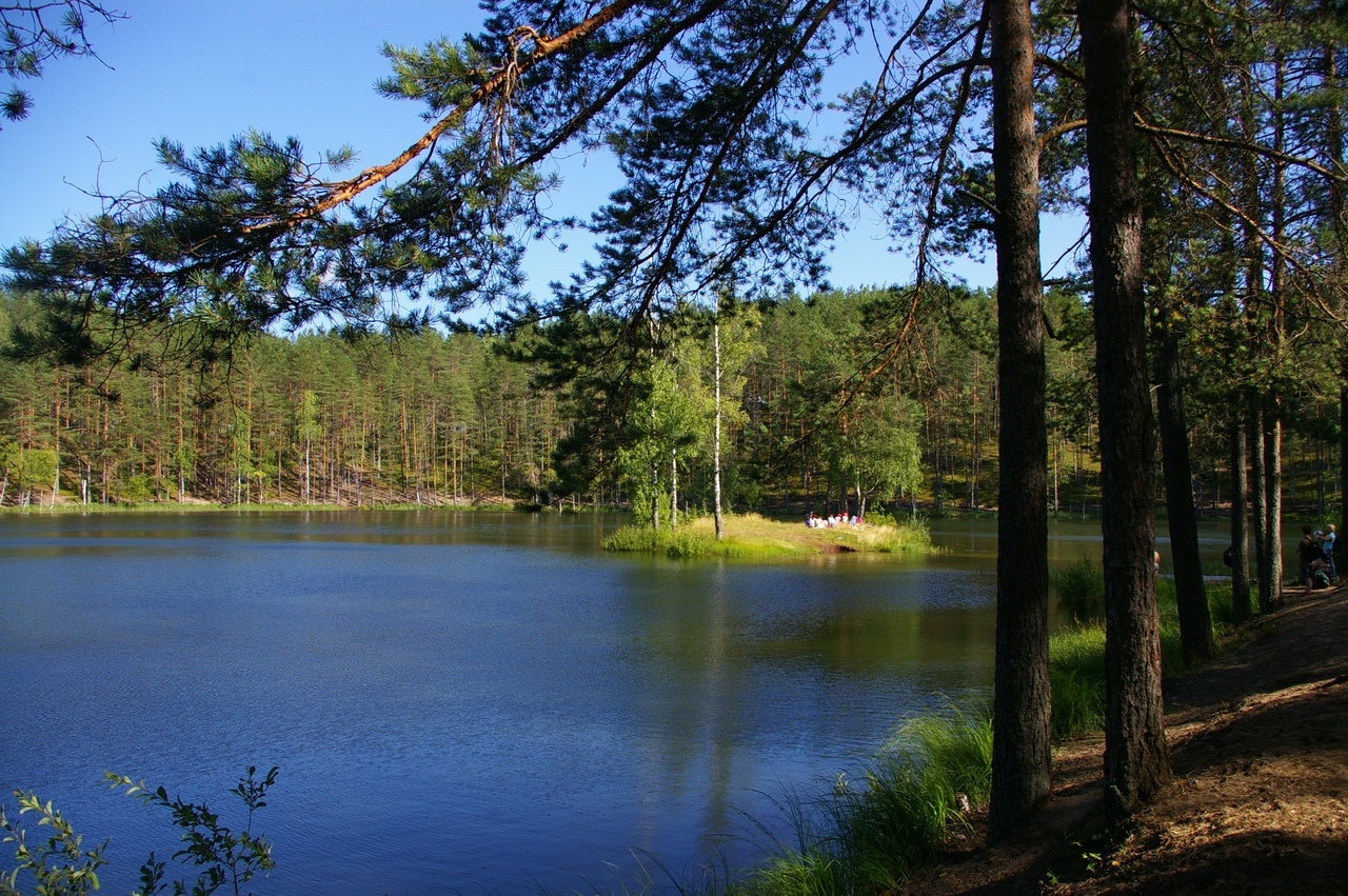 Гладышевский заказник фото