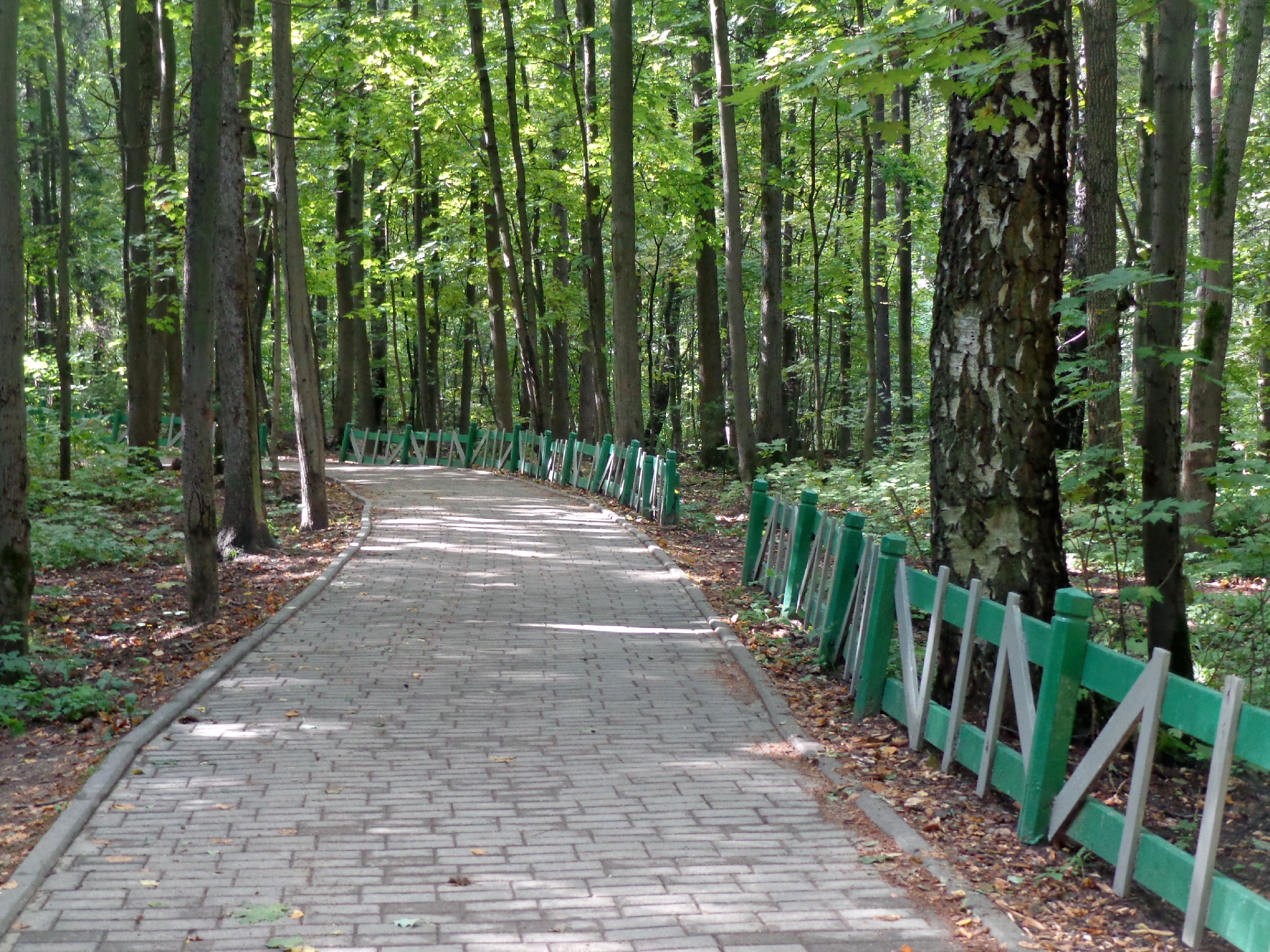 Фото 2: Природно-исторический парк Битцевский лес