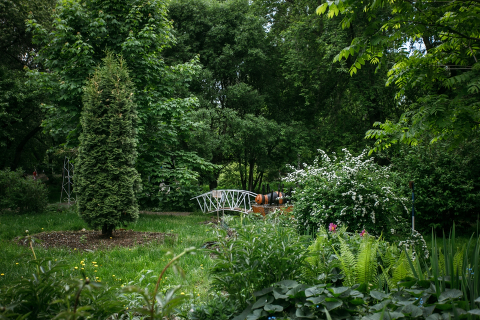 Фото 1: Харитоновский сад