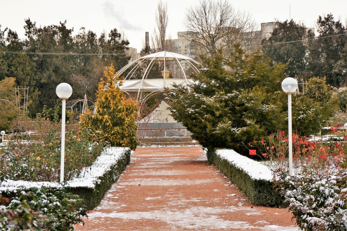 Фото 1: Ботанический сад имени Н.В.Багрова
