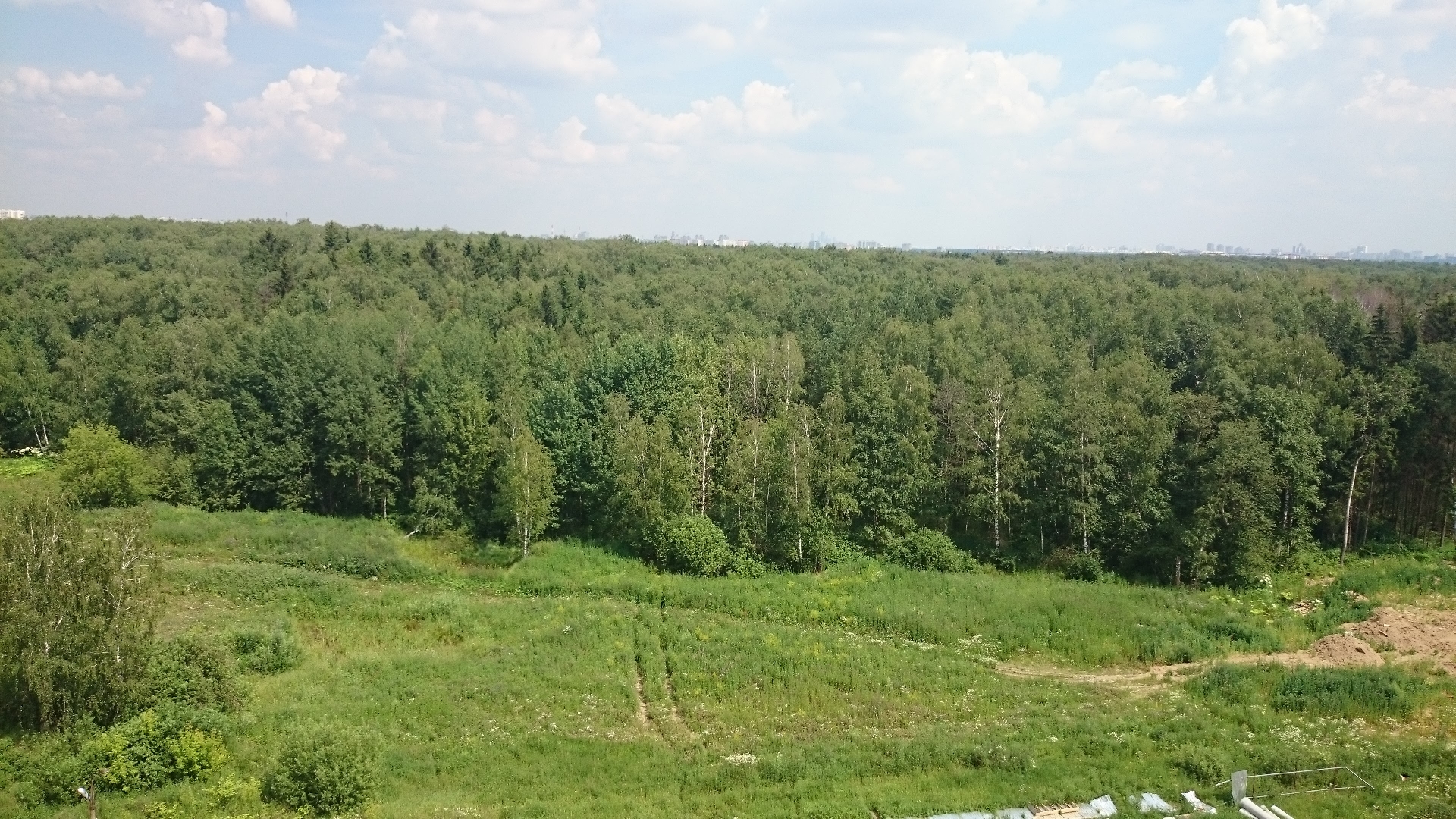 Фото 1: Ульяновский лесопарк