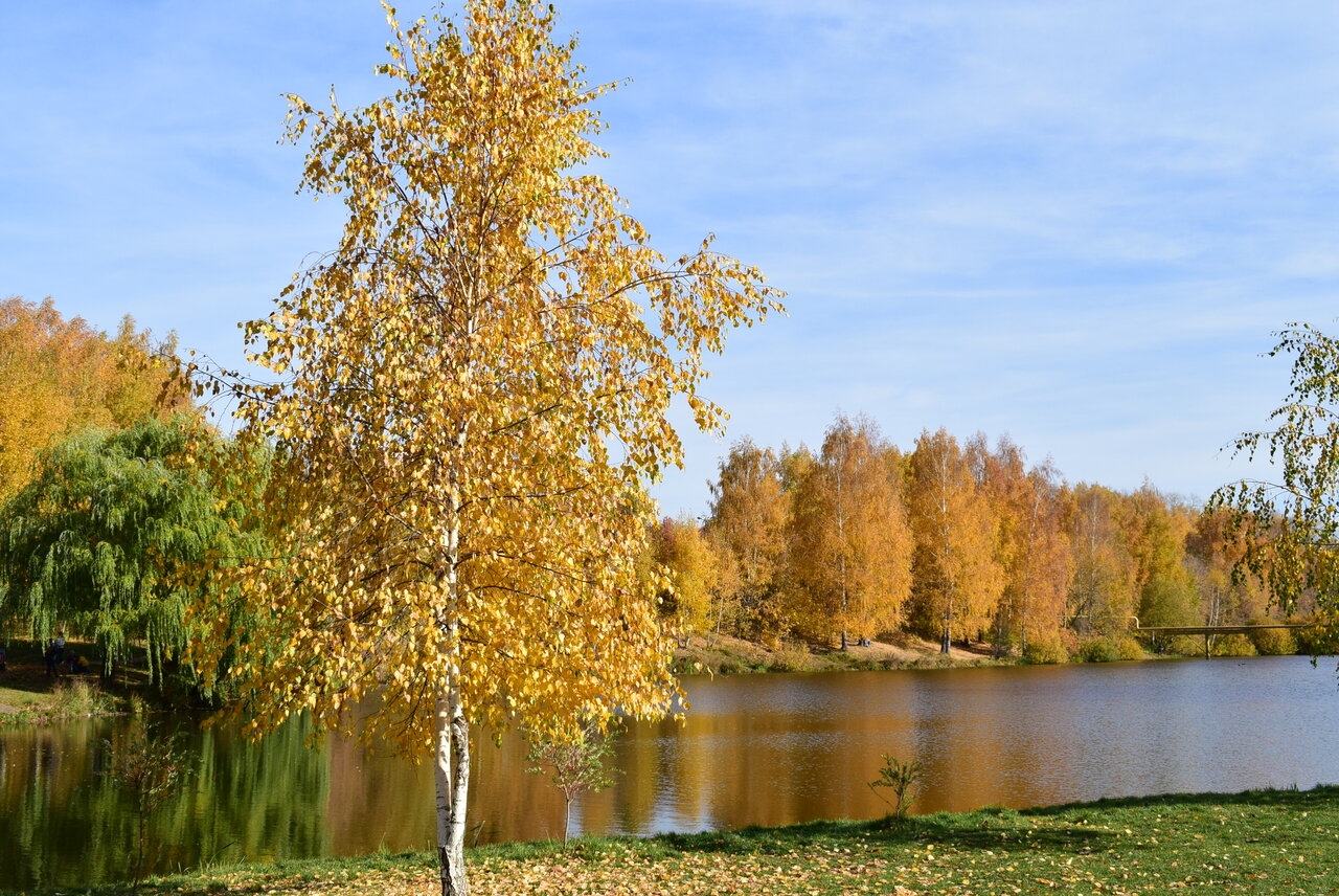 Мемориальный парк осень Рязань