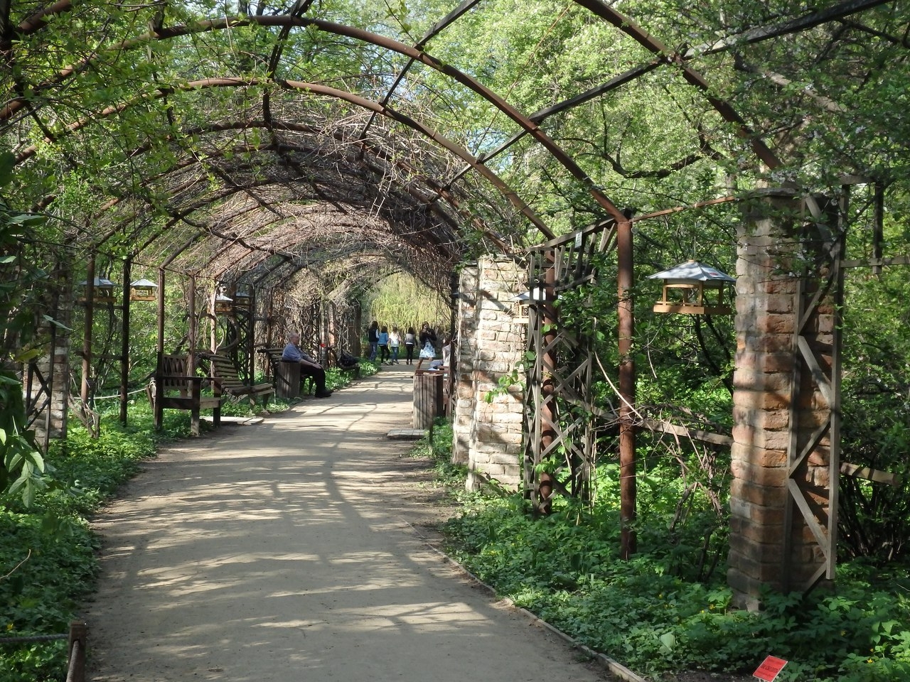 Фото 1: Ботанический сад МГУ Аптекарский огород