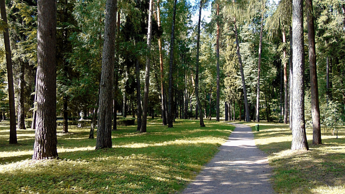 Парки в архангельске