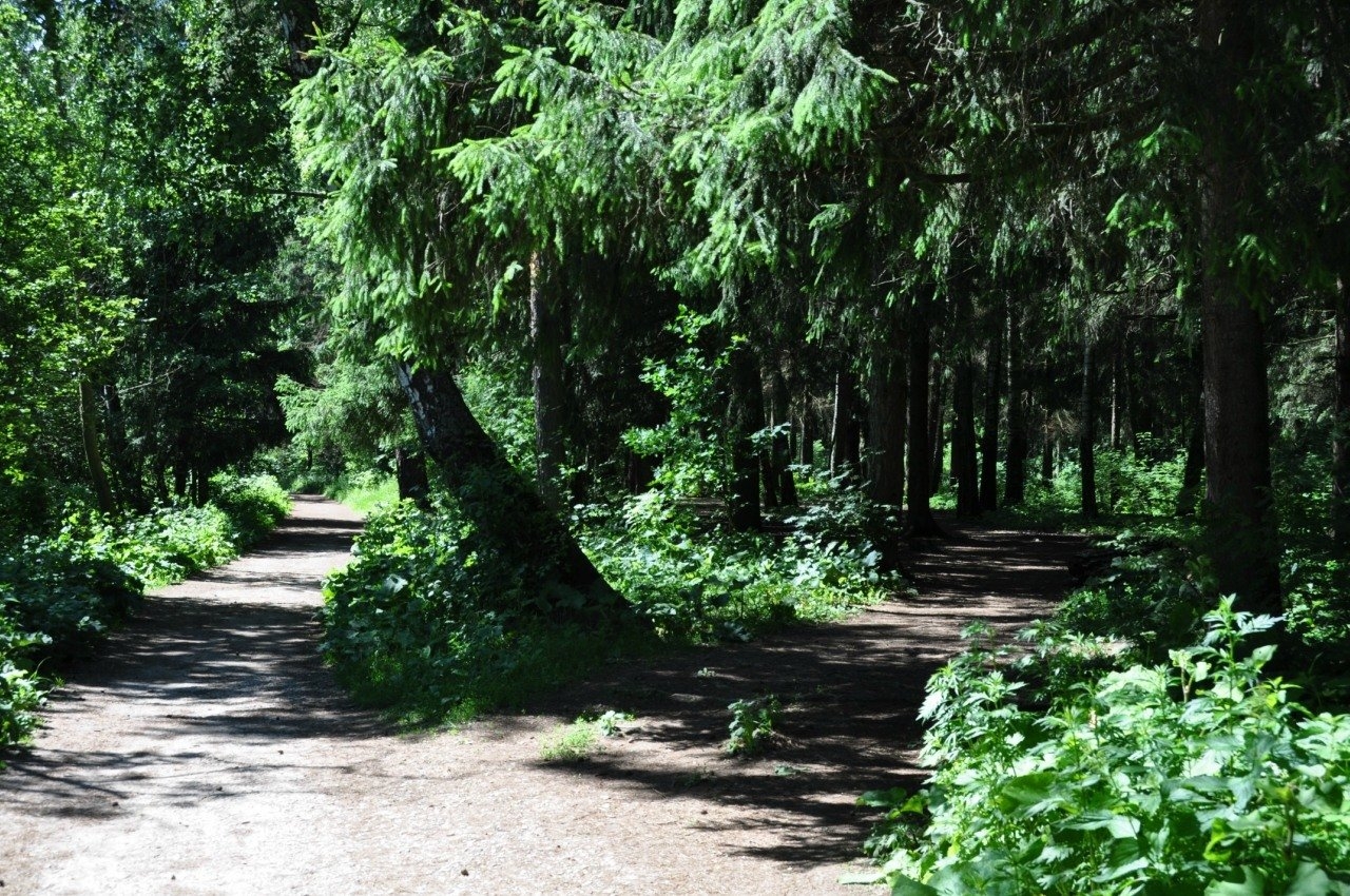 Фото 2: Ландшафтный парк Ватутинской лесной поймы