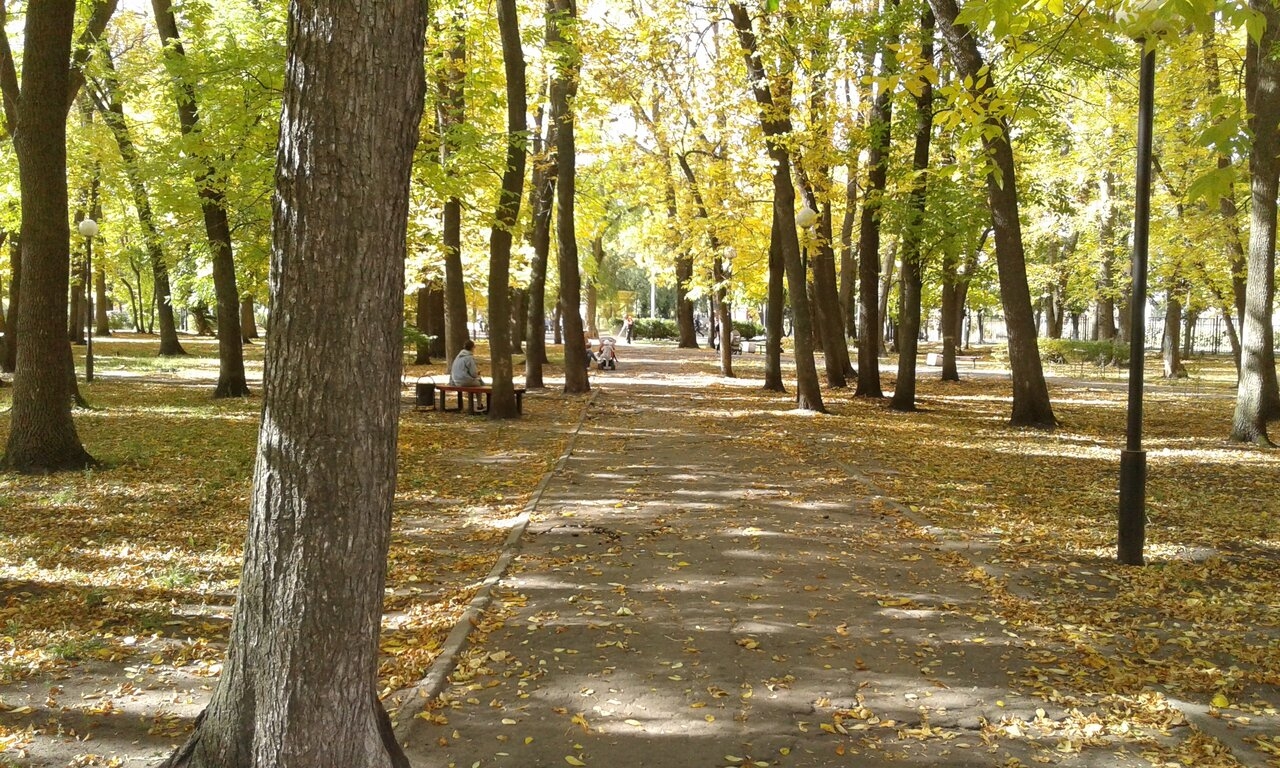 Фото 1: ПКиО Комсомольский
