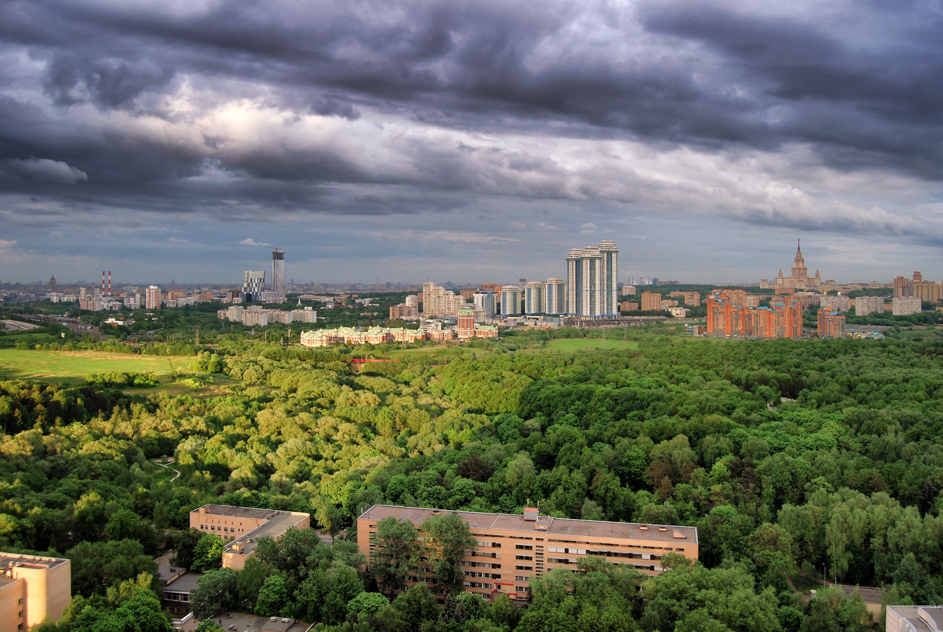 Фото 0: Матвеевский лес