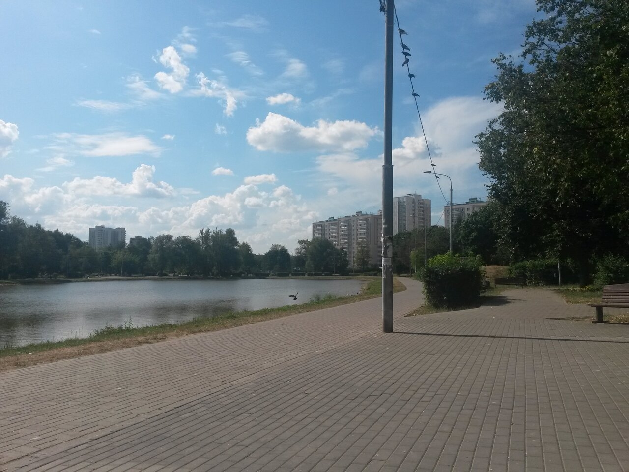 Фото 4: Парк Ангарские пруды